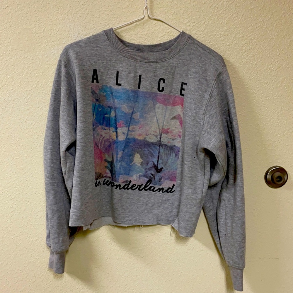GreySweaterTopAliceinwonderlandprint.Long sleeves. Size Med.Nostains,tears,hole